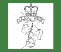 REME badge -5.jpg